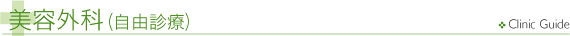 美容外科（自由診療）