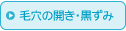 毛穴の開き・黒ずみ